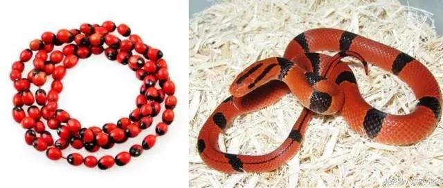 文玩手艺人,什么文玩手串不怕汗直接上手戴