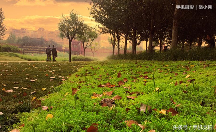 一座桥的20种拍法|教你一招提升“手机摄影观察力”