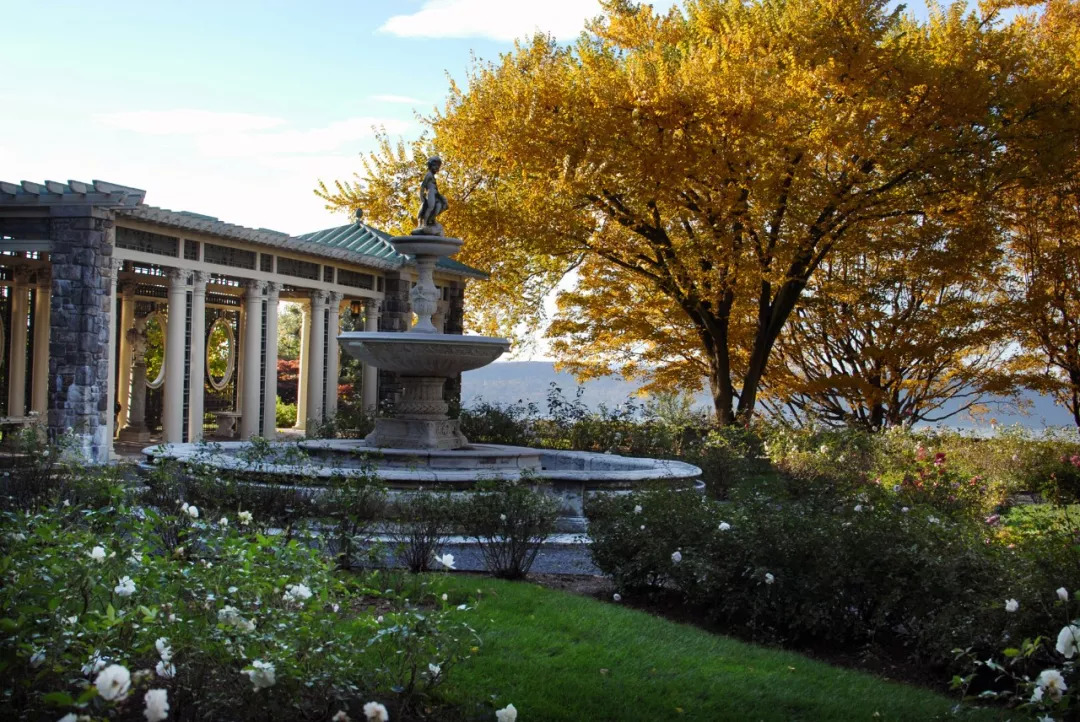 英国女王的庄园,英国女王喜欢的木桐酒庄