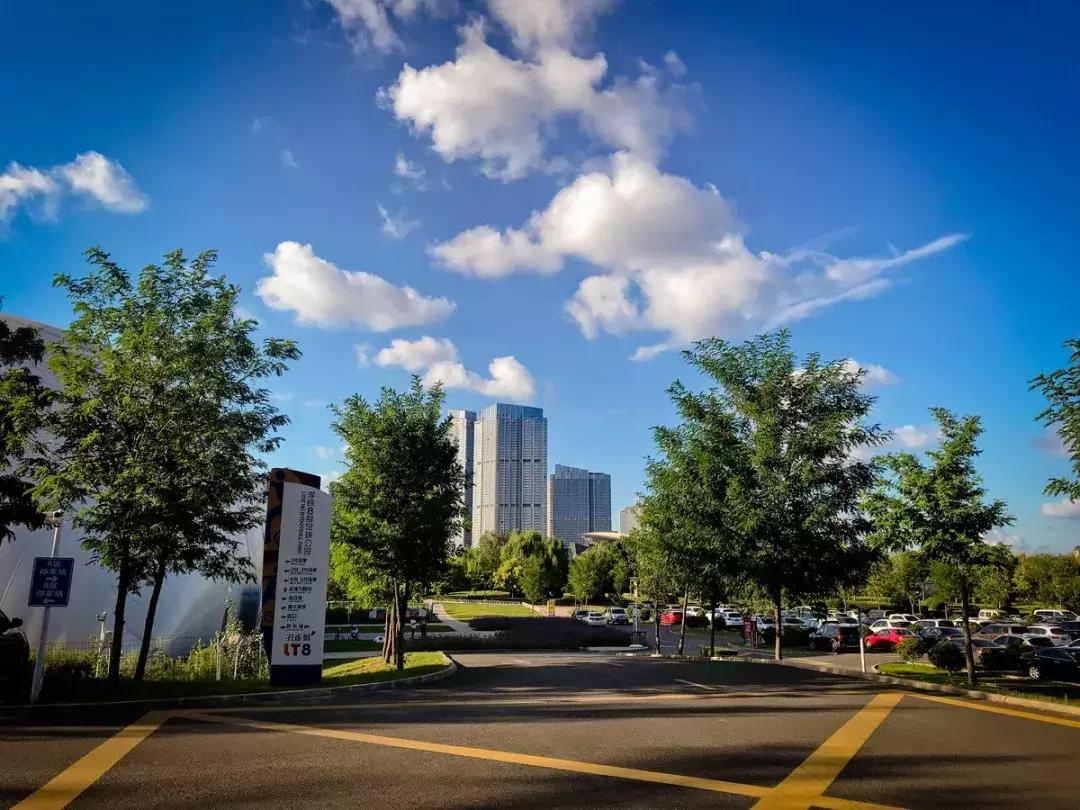 沈马绝美图片,沈马最好看的照片