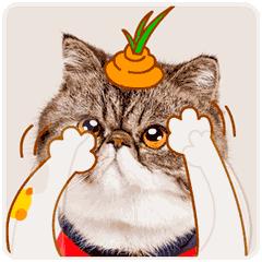 拔草代购单品推荐,拔草去角质