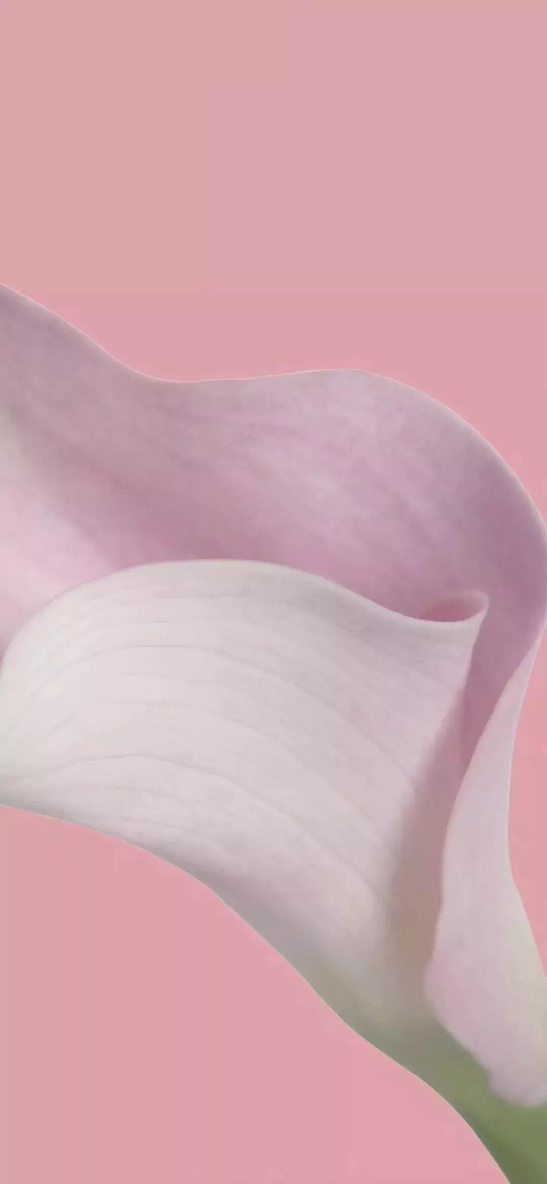 摄影色彩的处理的基本规则,摄影光线和颜色