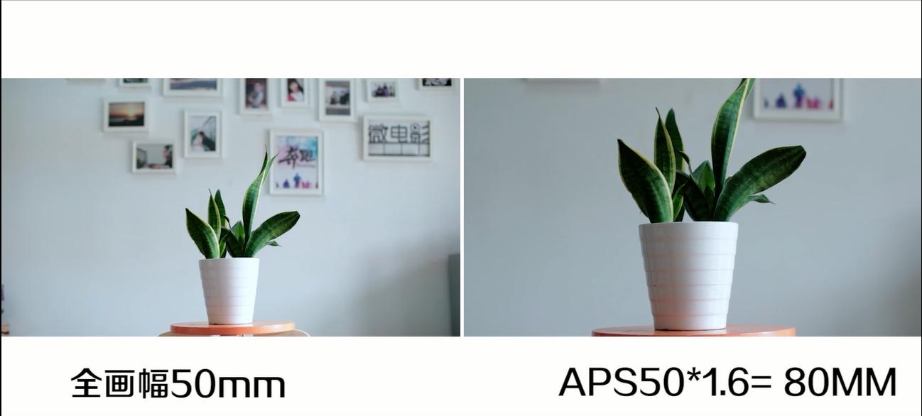 做自媒体拍短视频要些什么东西,如何玩转自媒体短视频