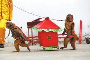 各属相的吉祥属相,十二生肖属相的寓意