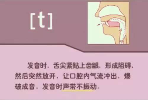 英语48个音标发音详细教程,英语48个音标的正确发音和技巧