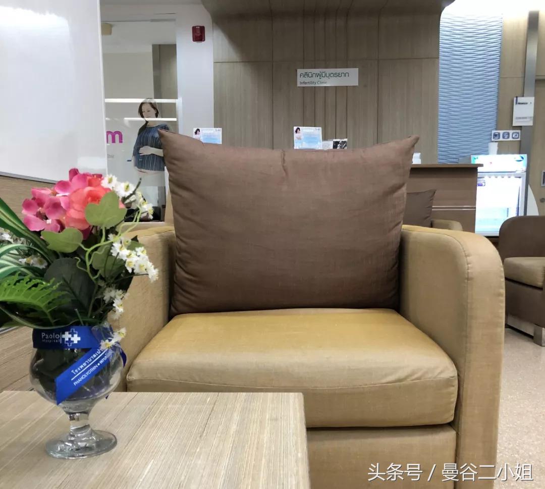 泰国冷冻卵子,泰国冻卵子