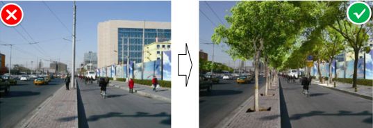 「交通看点」建设“完整林荫道”——步行和自行车交通环境设计建设图集亮点介绍（一）