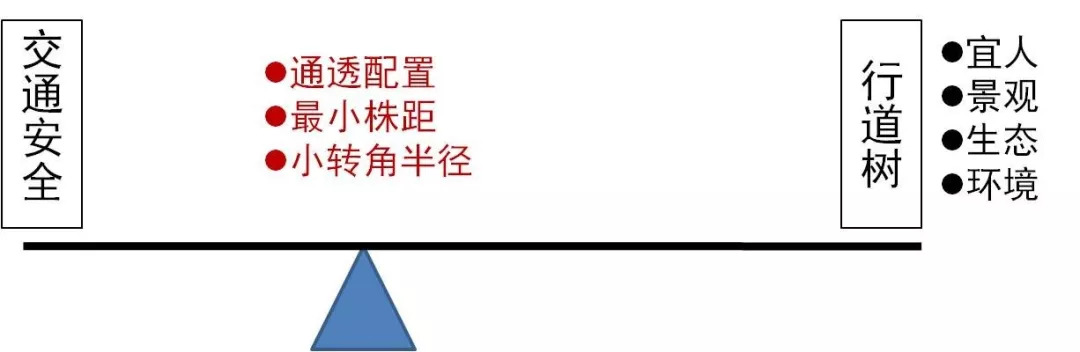 「交通看点」建设“完整林荫道”——步行和自行车交通环境设计建设图集亮点介绍（一）