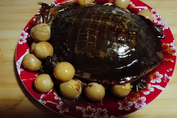 甲鱼最常见的几种做法,冬季甲鱼跟什么做才好