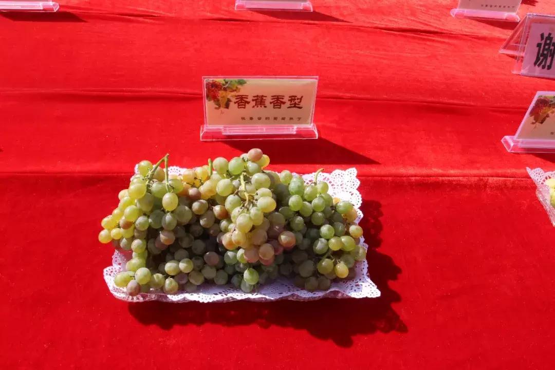 吃得明白看着糊涂,吃得明白看着糊涂心里清楚