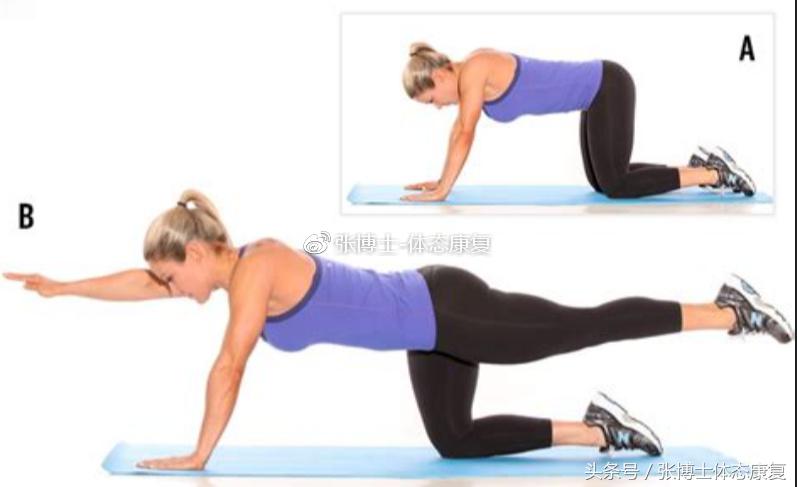 「运动康复科普」宝妈们看过来,产后腹直肌分离的康复训练