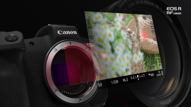 佳能eosr缺点和不足,佳能eosrp操作教程