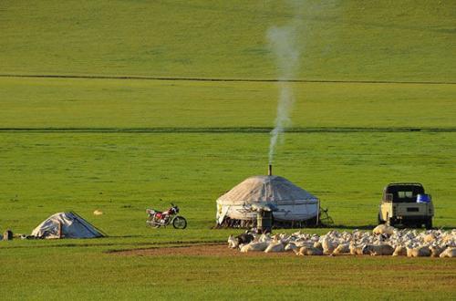 内蒙古地理标志羊肉,呼和浩特市锡林郭勒羊肉地址