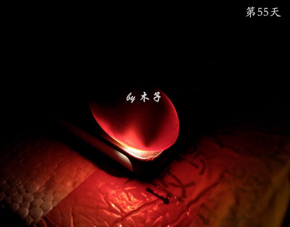 草龟繁殖经验分享孵蛋40天破壳,草龟养殖日记从幼苗开始