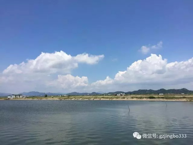 虾白便怎么快速消除,虾出现白便能治愈吗