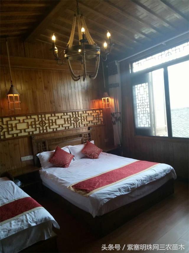 黄山旅游攻略黟县民宿景点,黄山宏村千岛湖西塘旅游攻略