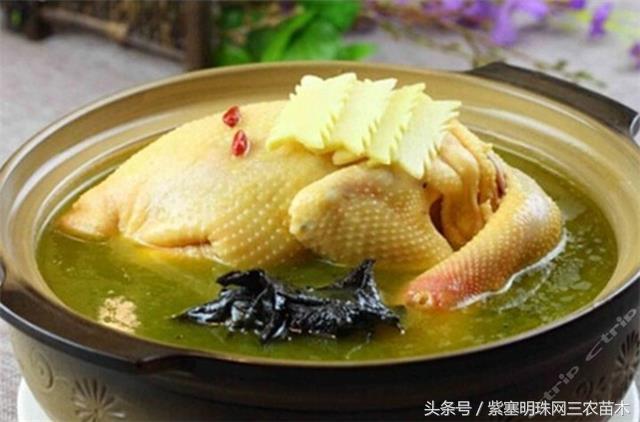 黄山旅游攻略黟县民宿景点,黄山宏村千岛湖西塘旅游攻略