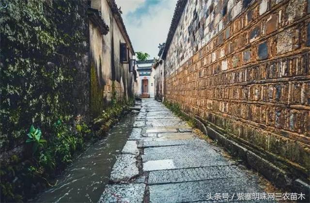 黄山旅游攻略黟县民宿景点,黄山宏村千岛湖西塘旅游攻略