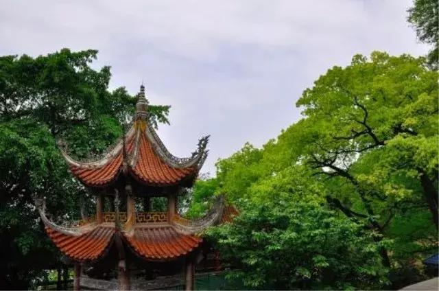 中华大地，每一寸河山，都饱含着文人骚客们的诗情画意