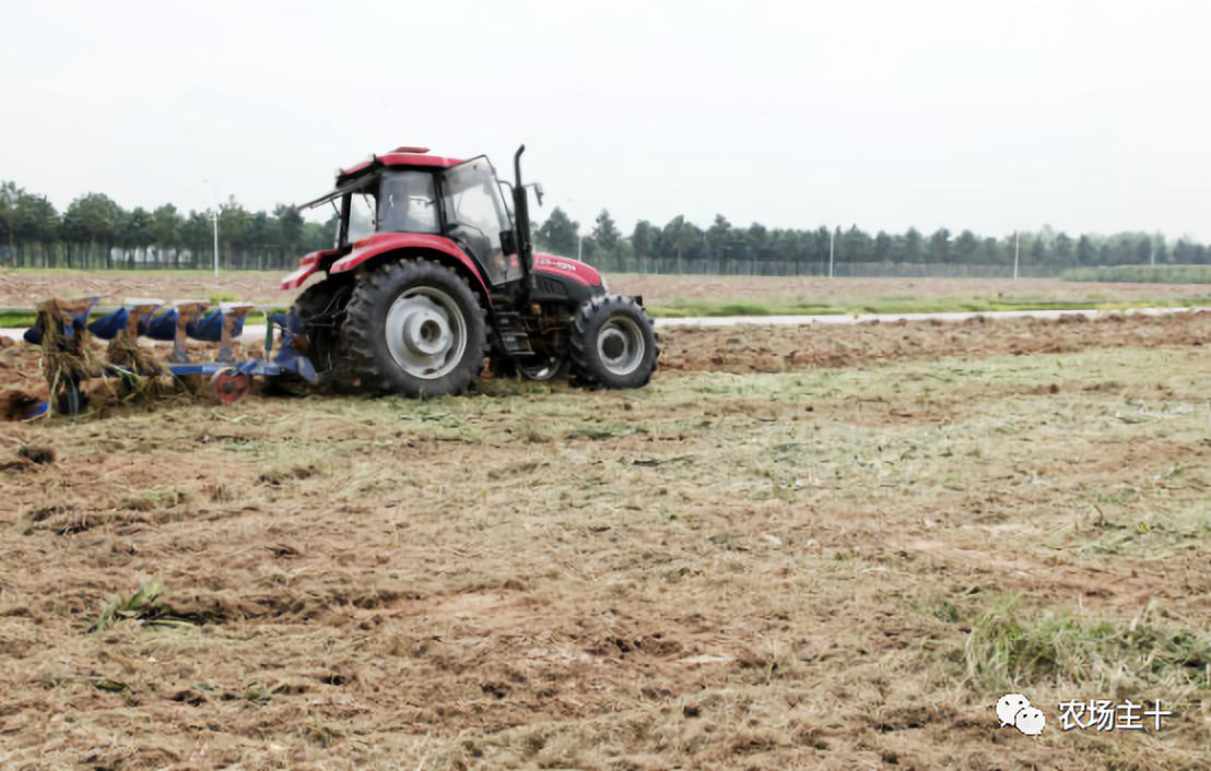 中国农场主的要求,成为农场主要具备哪些