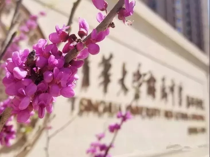 新学期全市各学校有序开课,新学期教育有什么新动态