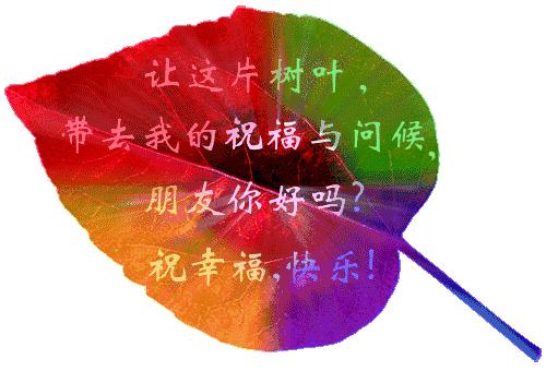 白露最暖心的祝福,明日白露祝福视频大全