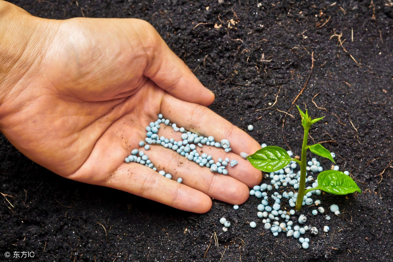 农作物肥害处理方法,遇到肥害该怎么办