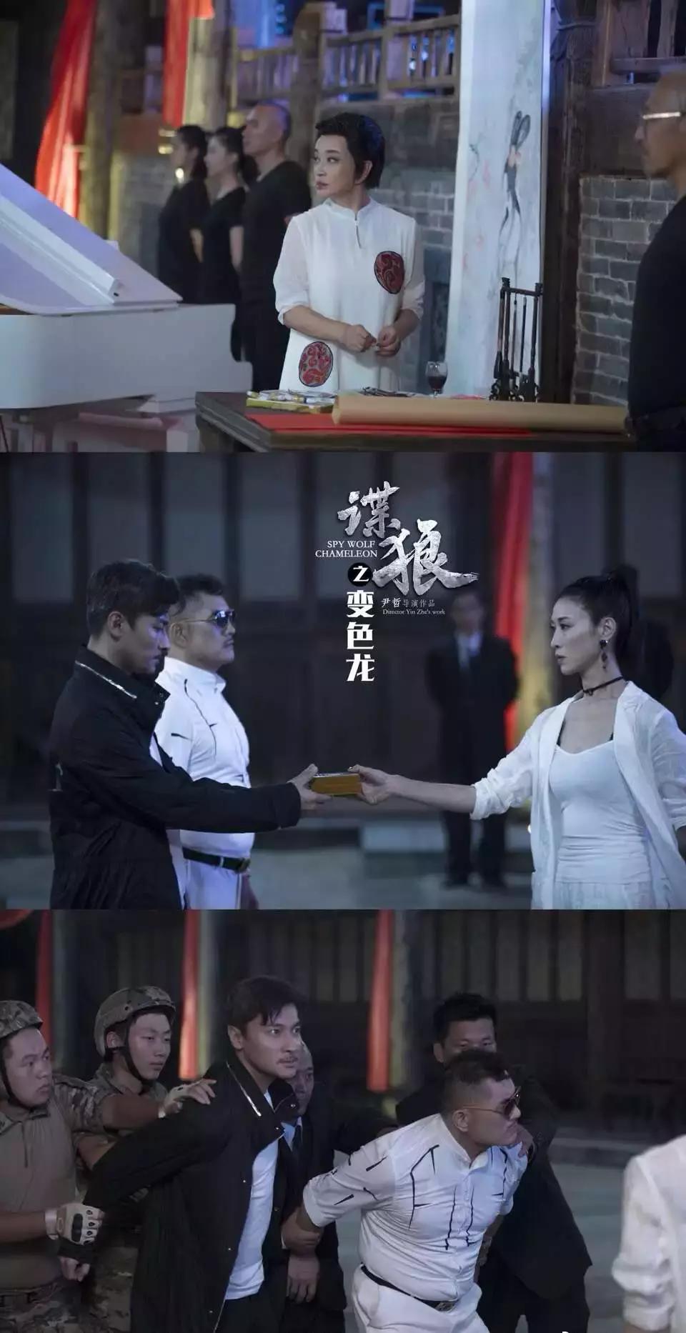 谍狼之变色龙贺刚,谍狼之变色龙最新报道