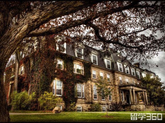 布伦瑞克大学值得去吗,新布伦瑞克大学口碑