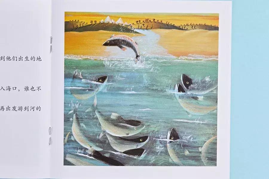 最近流行适合女性的一套书,平价颜值又高容量大的书