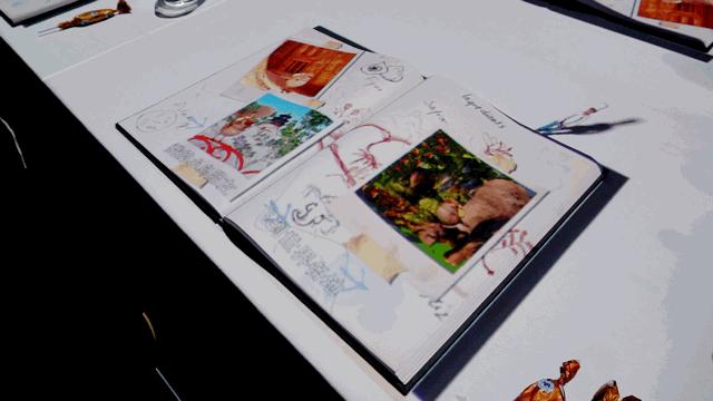 北戴河五大网红地标打卡游攻略,北戴河湿地公园网红打卡地