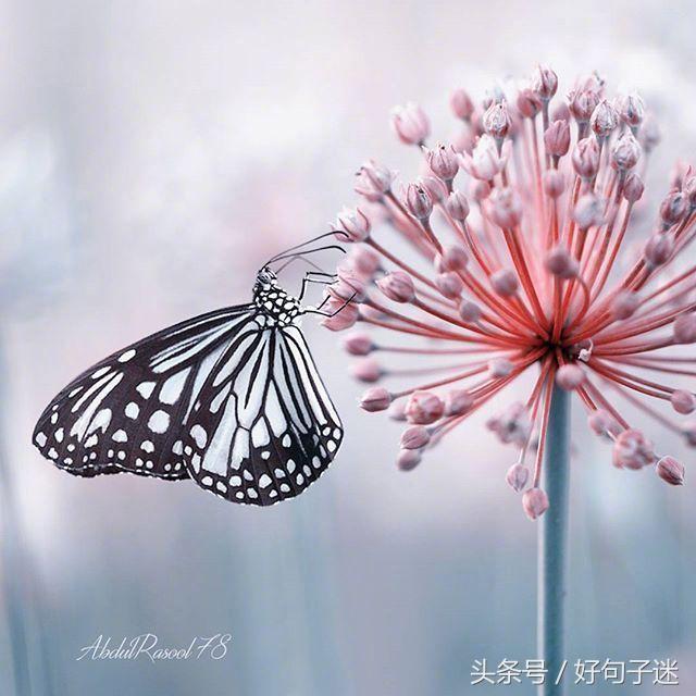 好听的qq个性签名大全,好听的qq个性签名英文