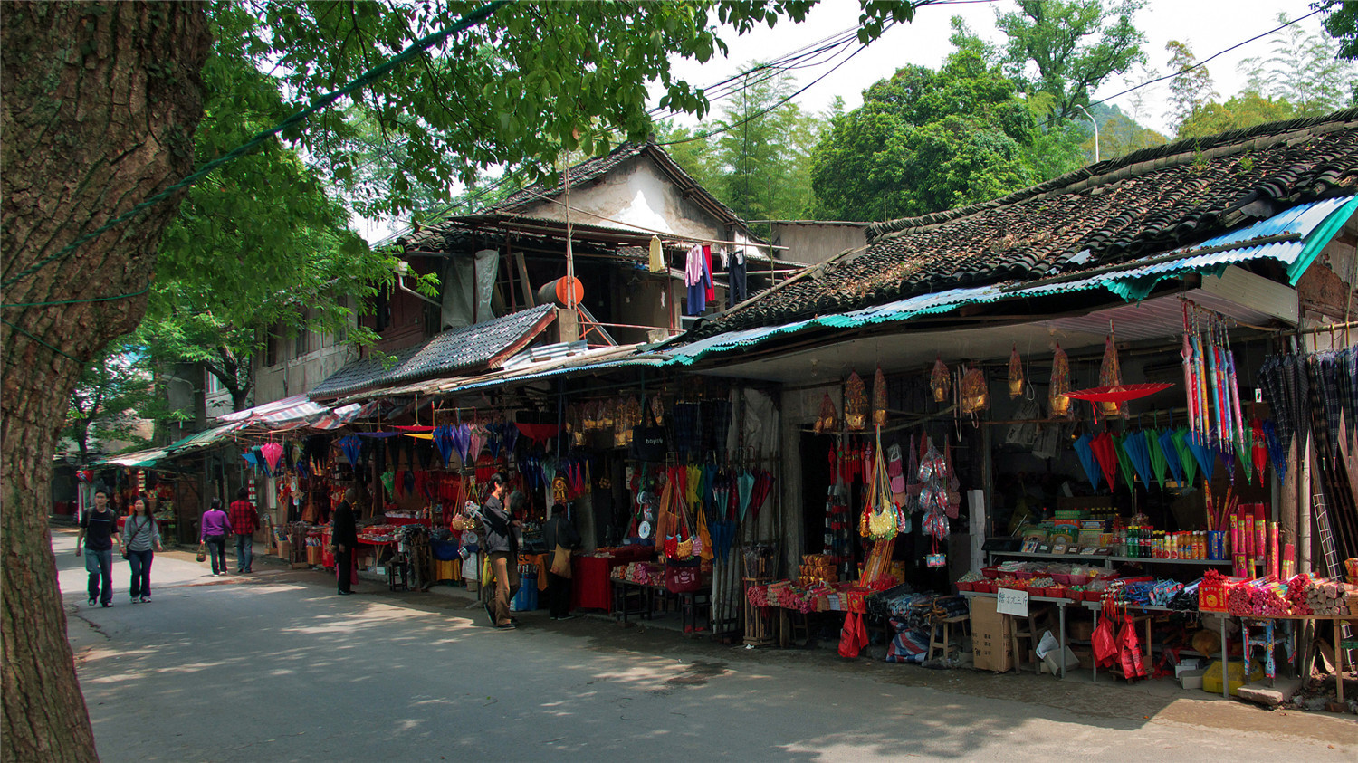 杭州西湖领略西湖之美,杭州西湖美景打卡
