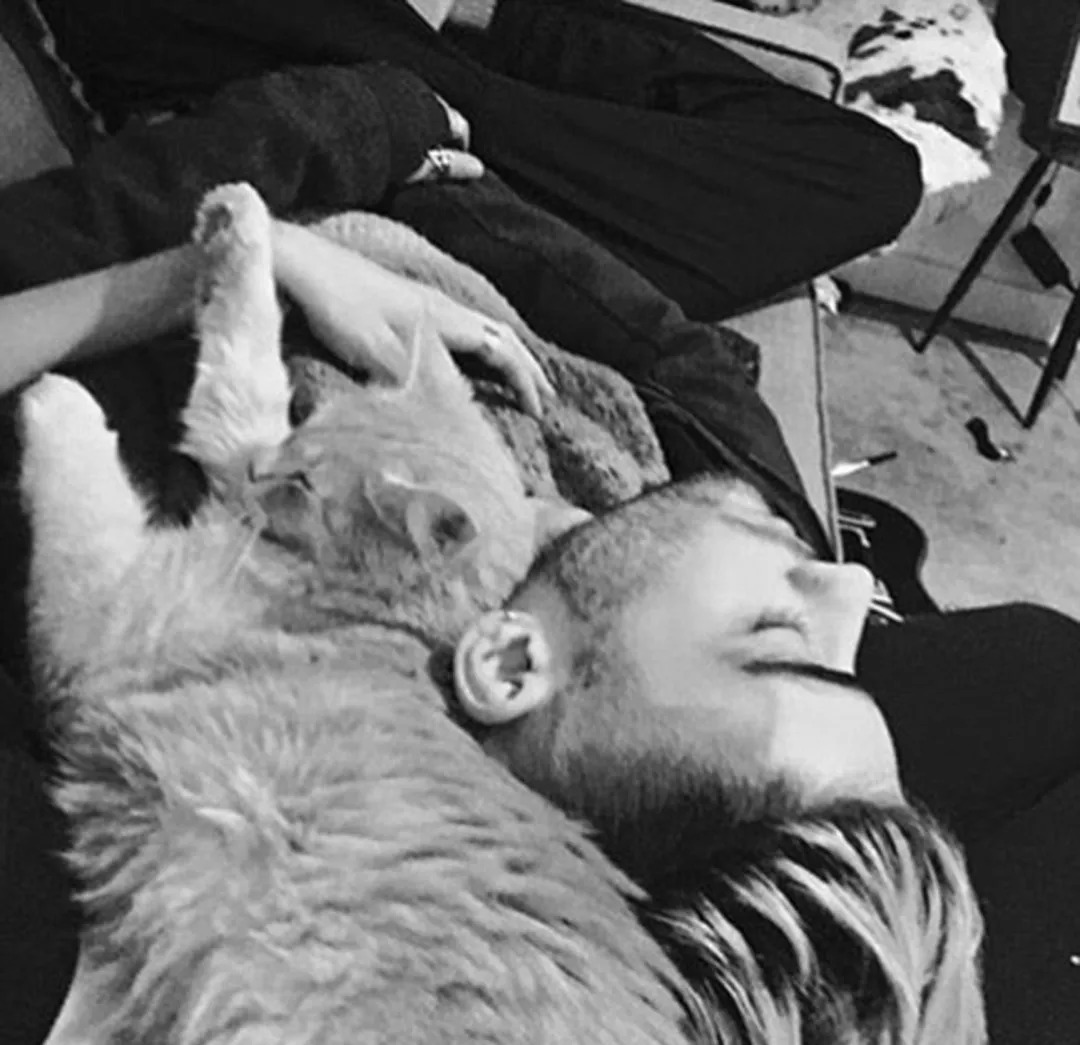 维密天使猫猫走秀,维密超模走秀猫咪