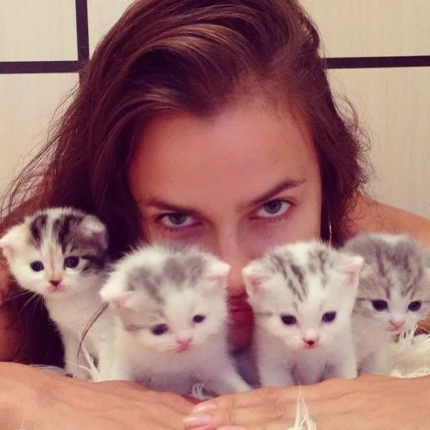 维密天使猫猫走秀,维密超模走秀猫咪