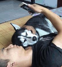 请问阁下可是向阳幼儿园扛把子？