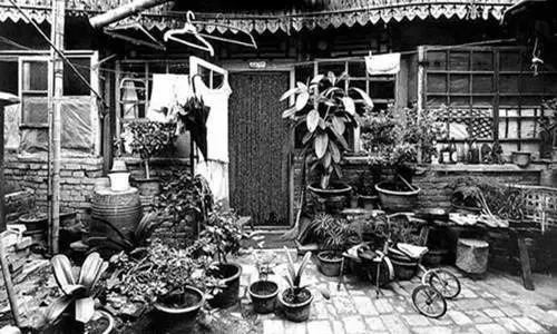 毛大庆讲述苦日子,毛大庆童梦京华图片