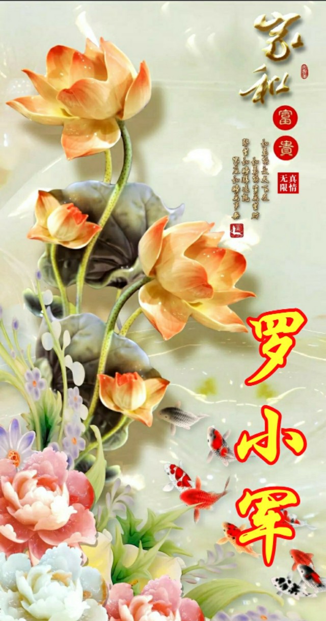 松鹤延年国画寓意,松鹤延年花语