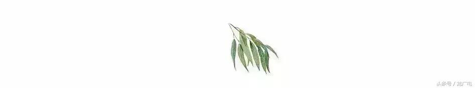 今天白露喝什么汤好,今天白露吃什么饭好呢