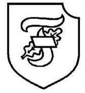 二战德国*党**卫军45个作战师的名称标志的由来以及他们之间的区别