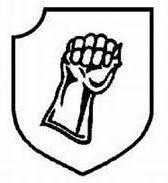 二战德国*党**卫军45个作战师的名称标志的由来以及他们之间的区别