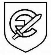 二战德国*党**卫军45个作战师的名称标志的由来以及他们之间的区别