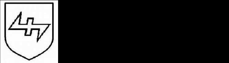 二战德国*党**卫军45个作战师的名称标志的由来以及他们之间的区别