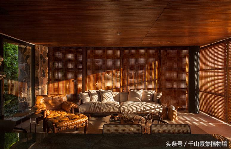 绿色植物墙效果怎么样,最好看的植物墙