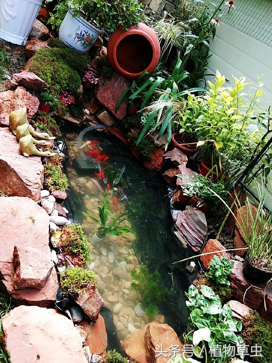 庭院景观鱼塘建造,庭院简单小鱼塘建造