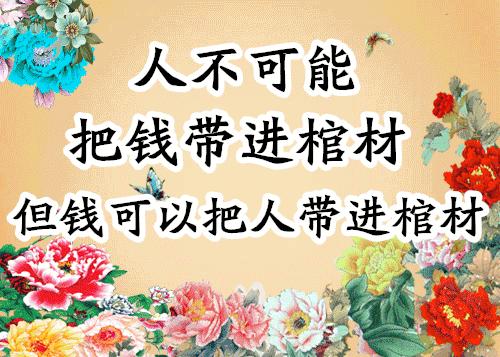 会动的图片大全大图,会动的花动态图片