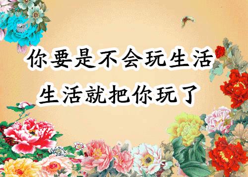 会动的图片大全大图,会动的花动态图片