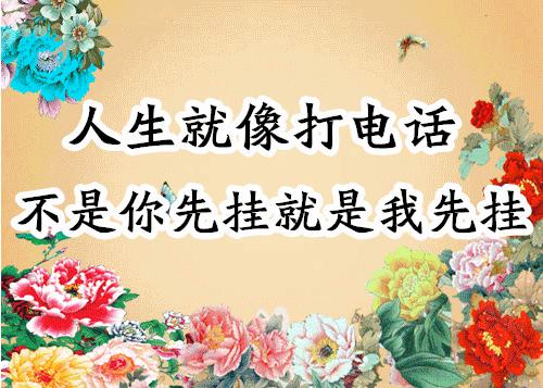 会动的图片大全大图,会动的花动态图片