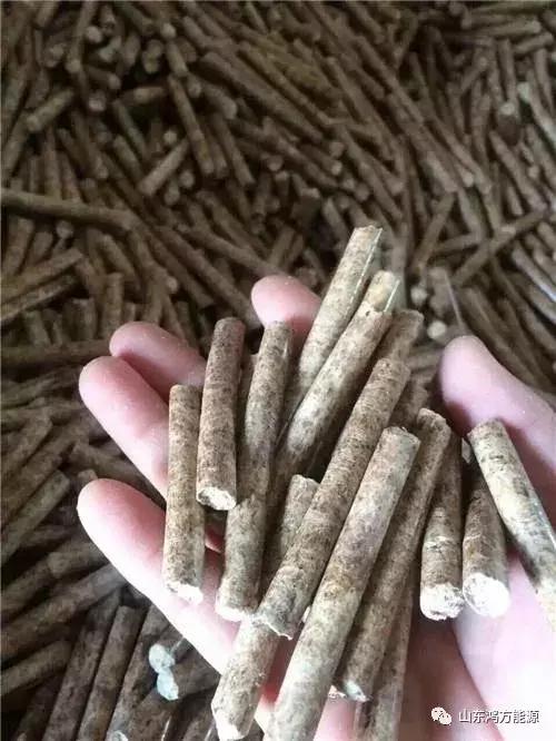 怎么选择生物质颗粒,生物质燃料颗粒和压块
