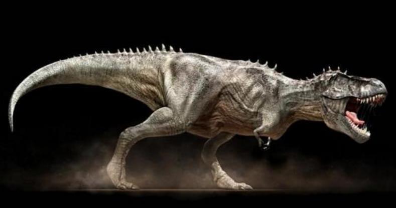 六角恐龙肚子变大是怎么回事,恐龙为什么这么大